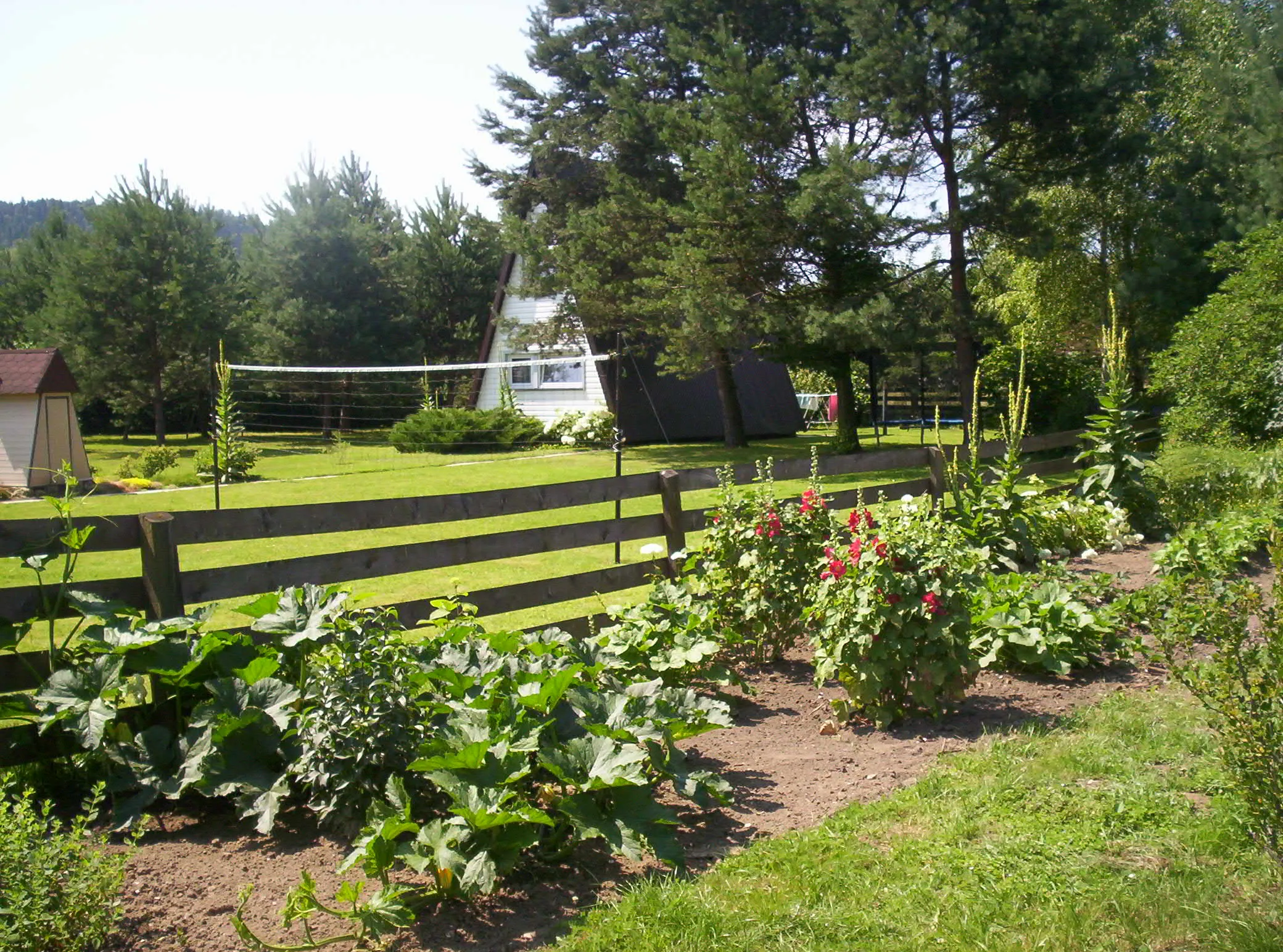 Ogródek z widokiem na domek