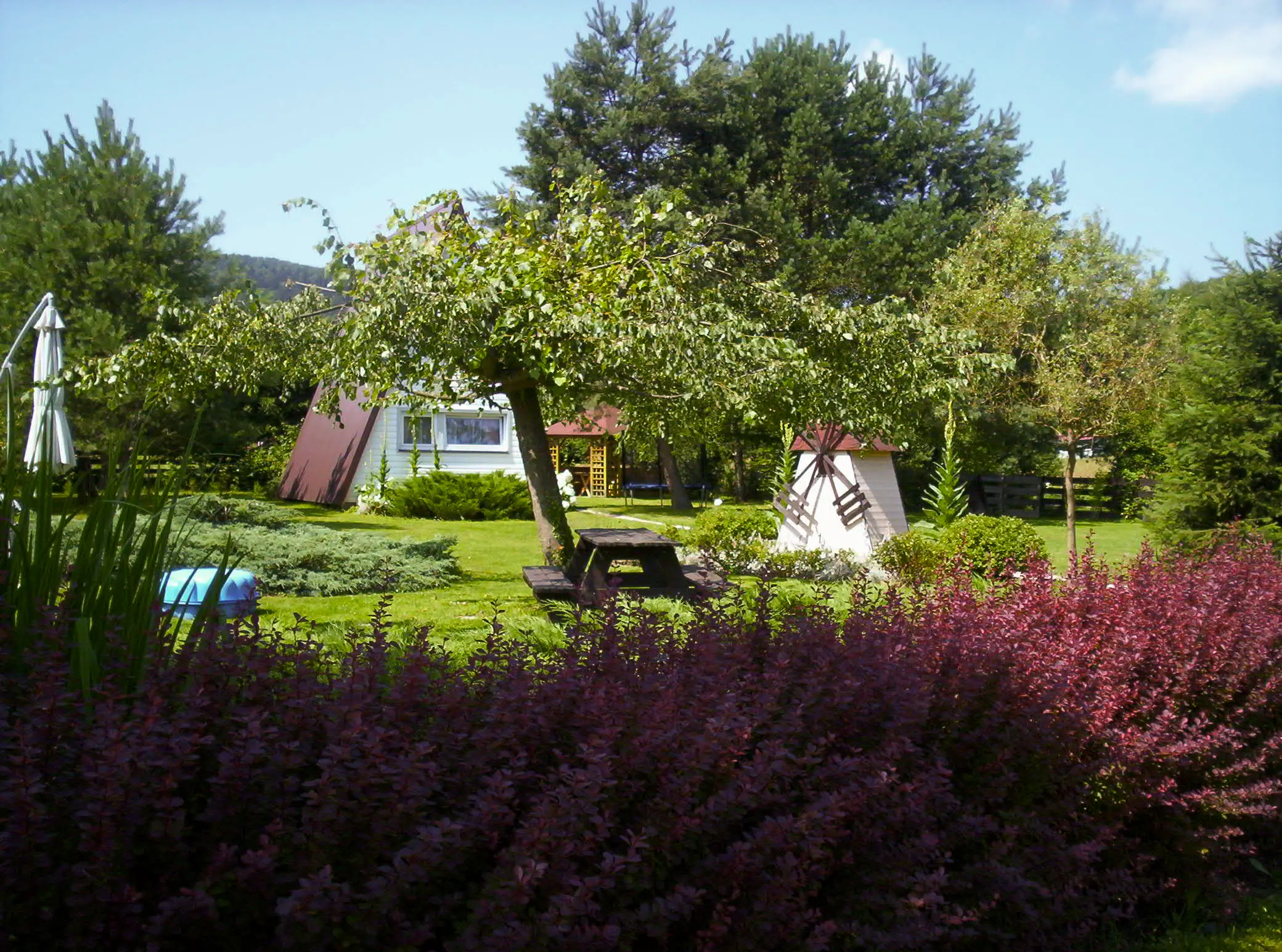 Ogródek z widokiem na domek
